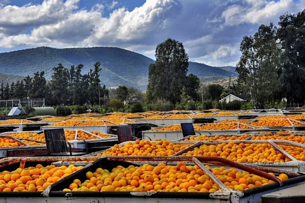 Umlambo River Lodge Kirkwood Dış mekan fotoğraf