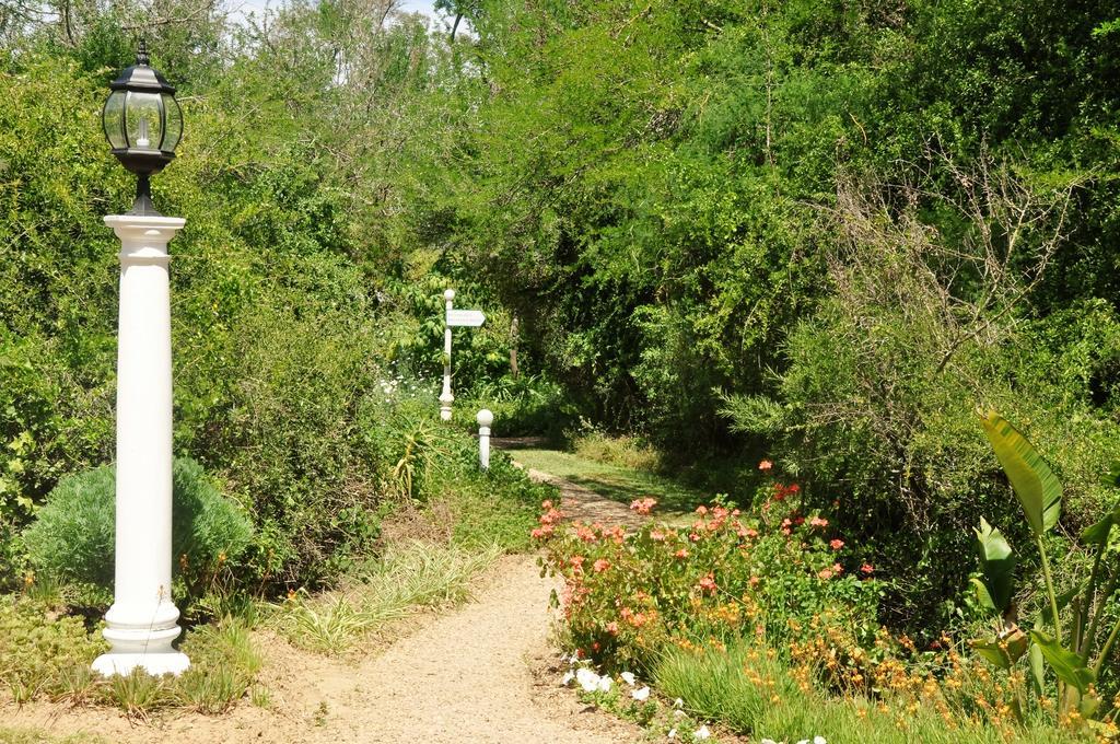 Umlambo River Lodge Kirkwood Dış mekan fotoğraf