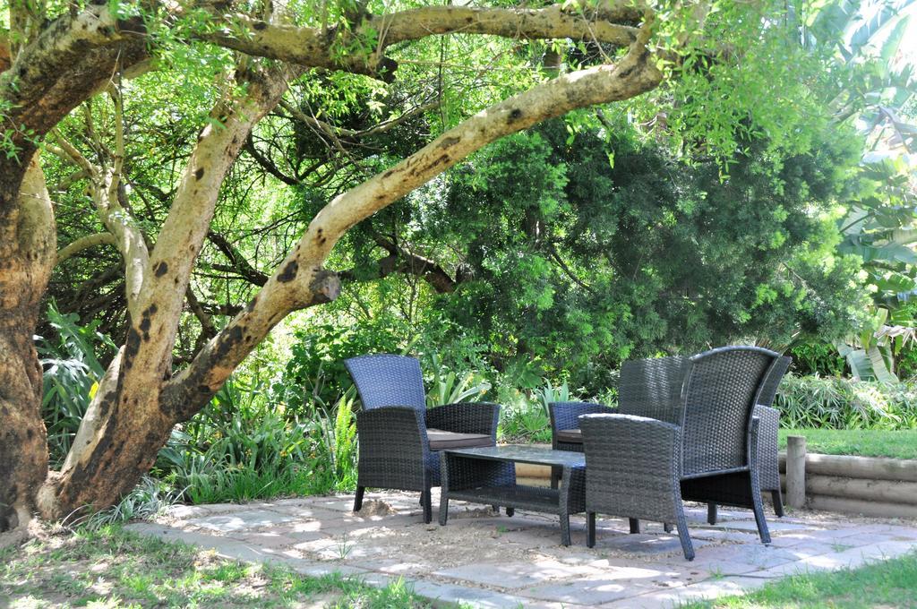Umlambo River Lodge Kirkwood Dış mekan fotoğraf